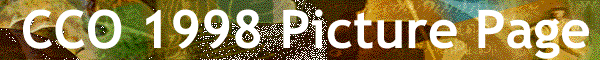 banner.gif (19754 bytes)